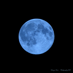 Blue Moon