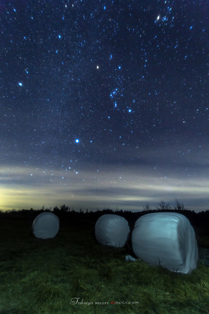 高原の星たち