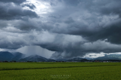 雨雲