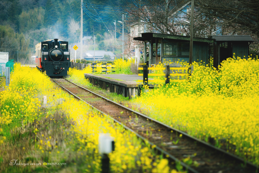 春の駅へ