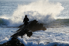 Angler
