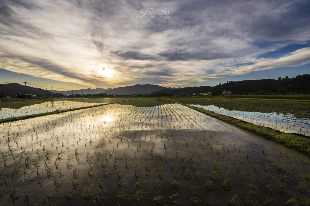 田園