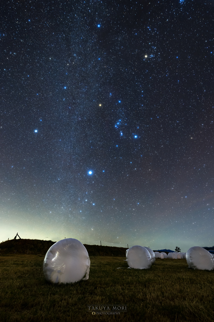 高原の星々