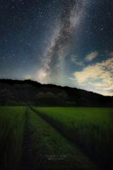 夏の流星