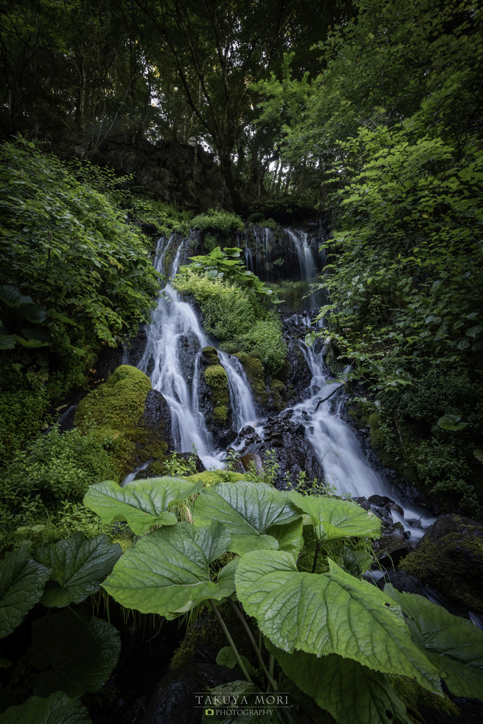 命の水