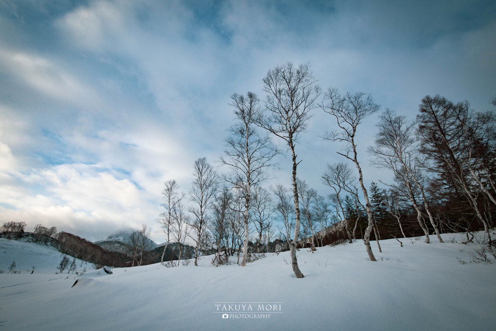 雪景色