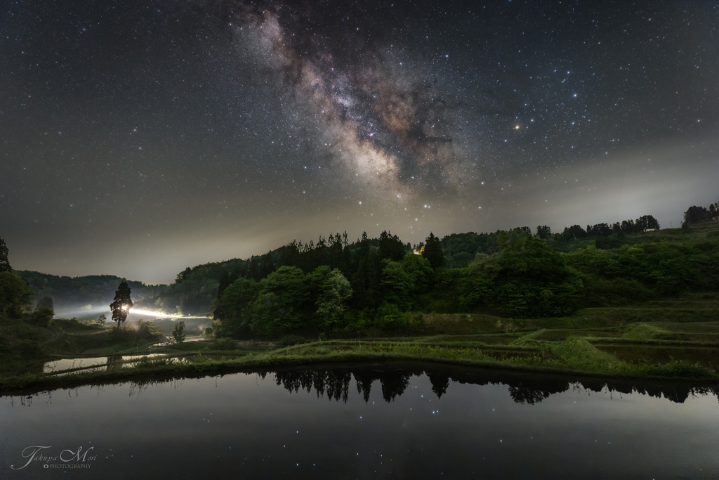 長閑な星の夜