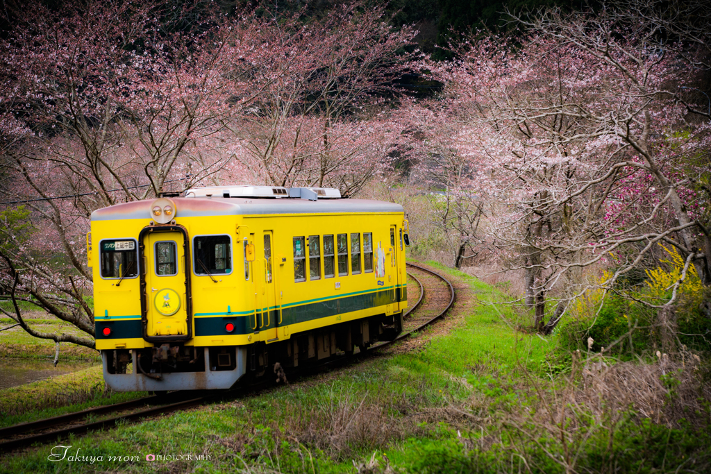 旅立ち