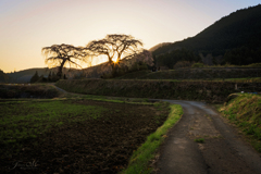 里山風景