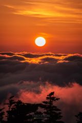 雲の上