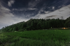 ホタル舞う里山
