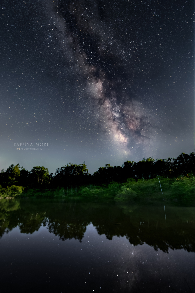 夏の星屑