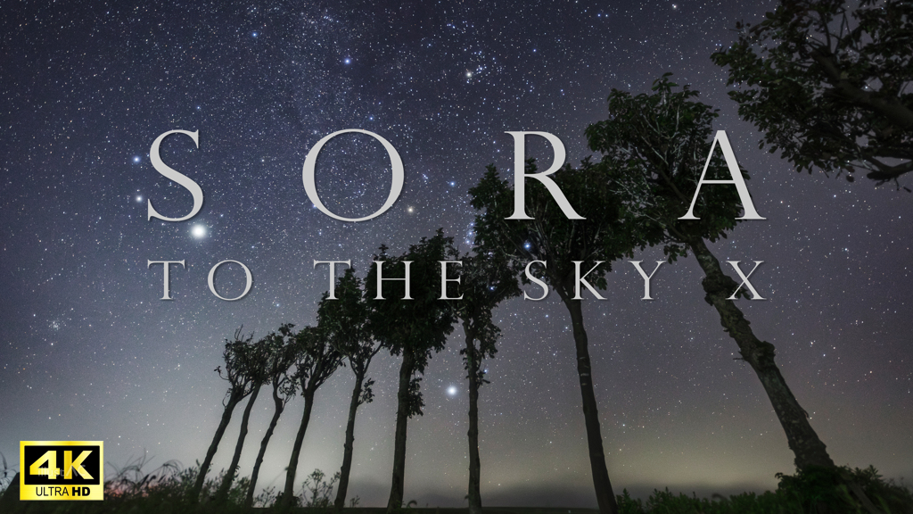 T O  T H E  S K Y   X    SORA