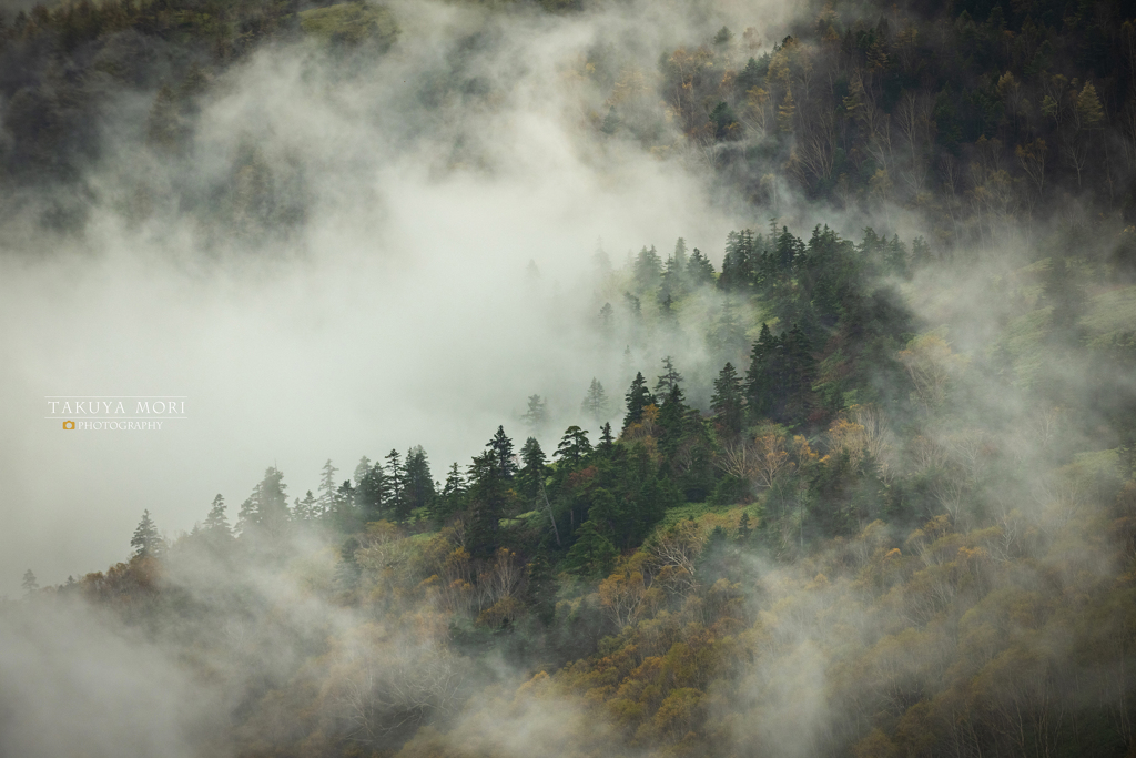 荒ぶる山