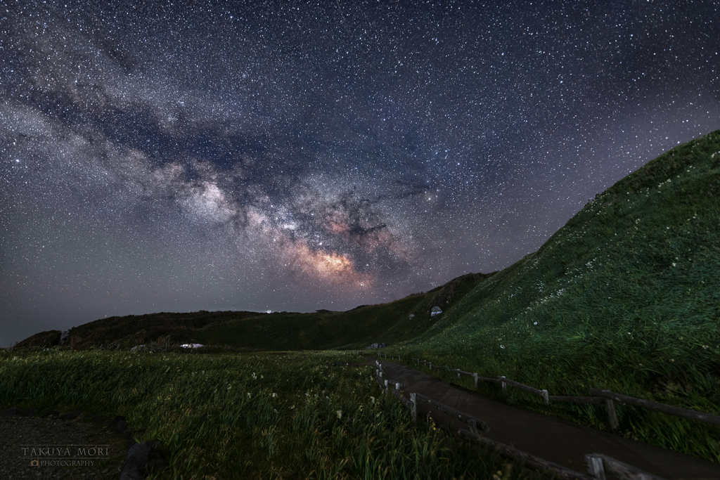 丘に咲く星