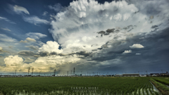 夏の雲