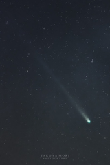 レモン彗星（C/2025 A6; Lemmon）