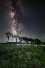 夏の夜