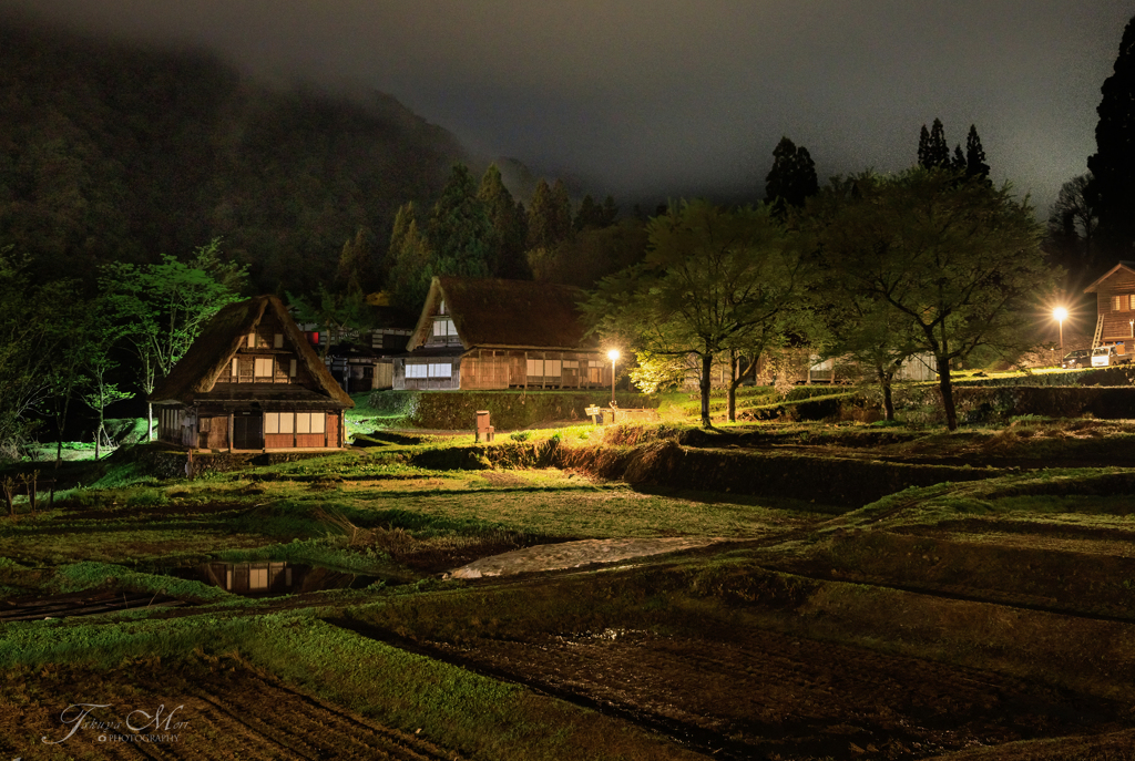 カエルが歌う里山の夜