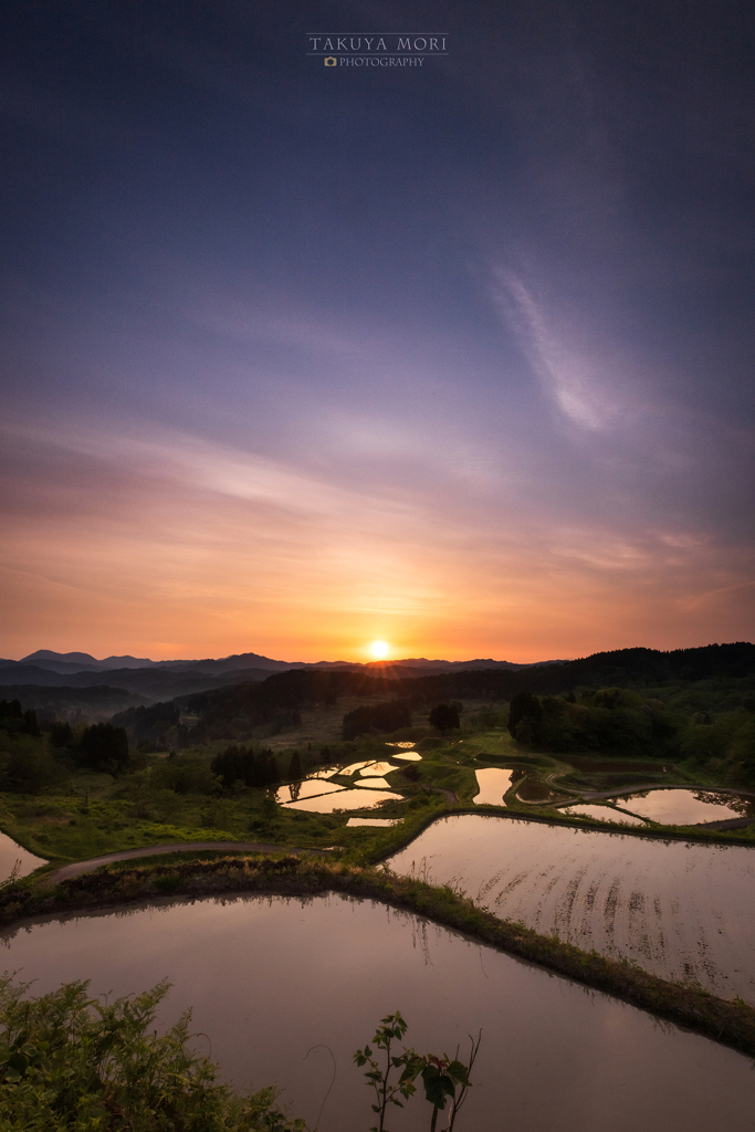 棚田風景