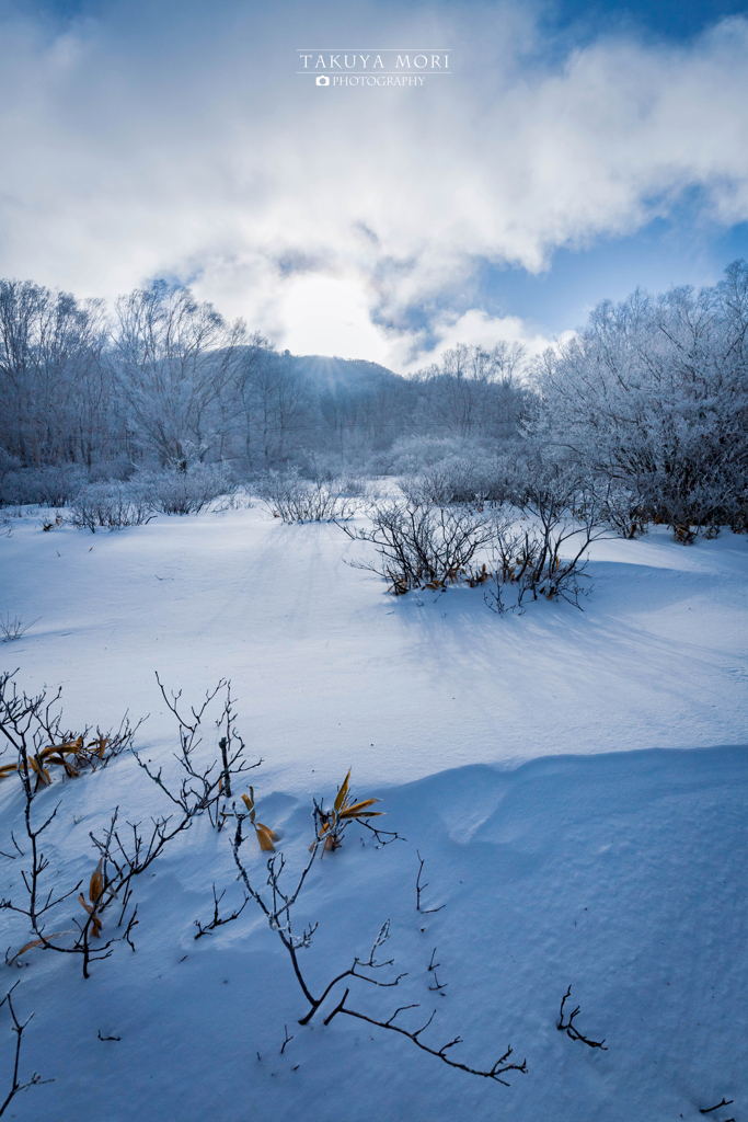 雪に包まれ春を待つ
