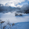 雪に包まれ春を待つ