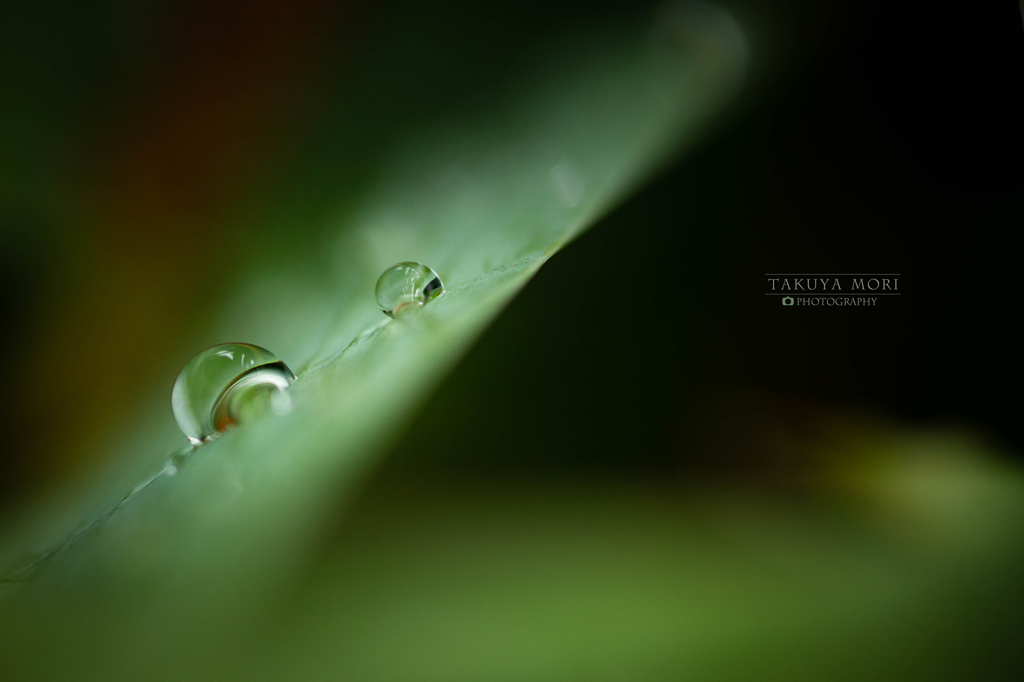 雨上がりのふたり