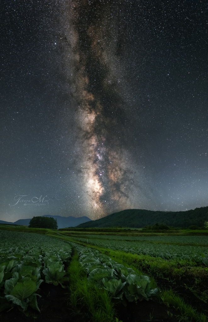 夏宙