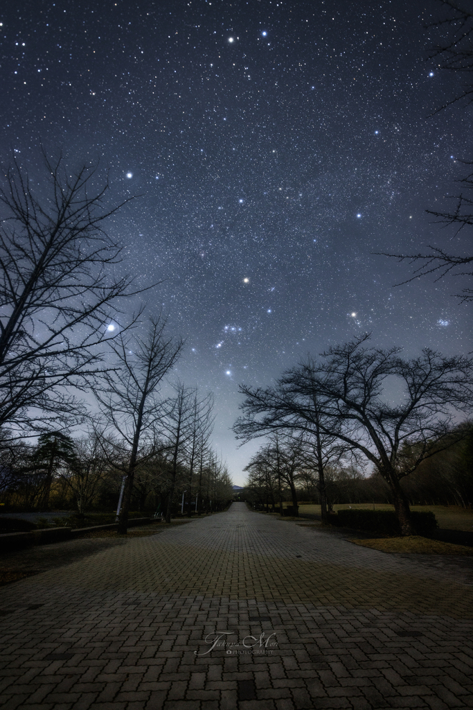 星たちの通り道