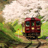 桜舞うころ