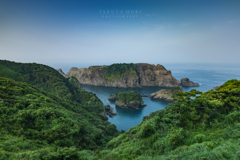 島