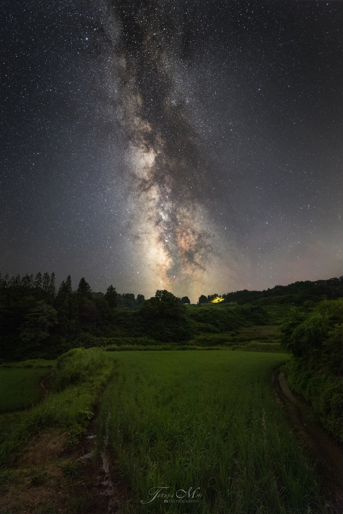 夏の夜
