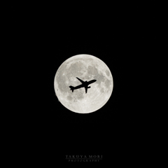 THE MOON