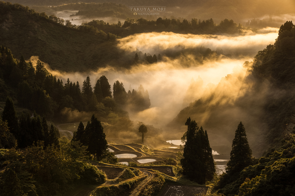 棚田風景【輝きの時】