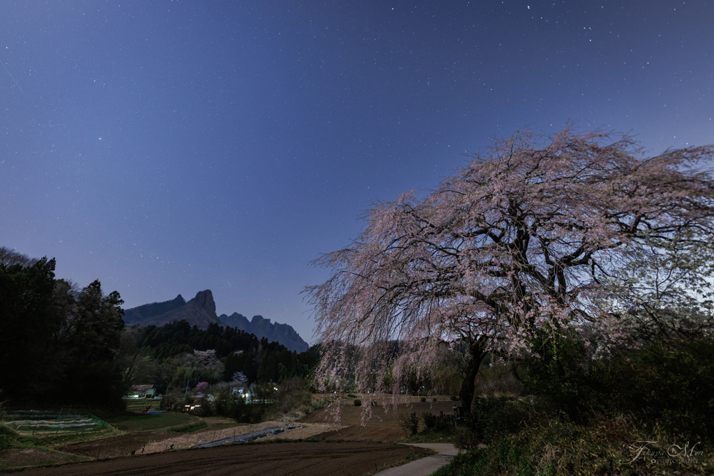 里山の春の夜