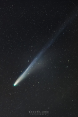宵の口のレモン彗星
