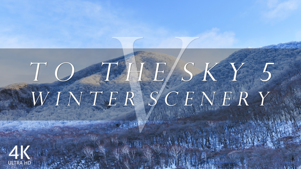 TO THE SKY V   WINTER SCENERY