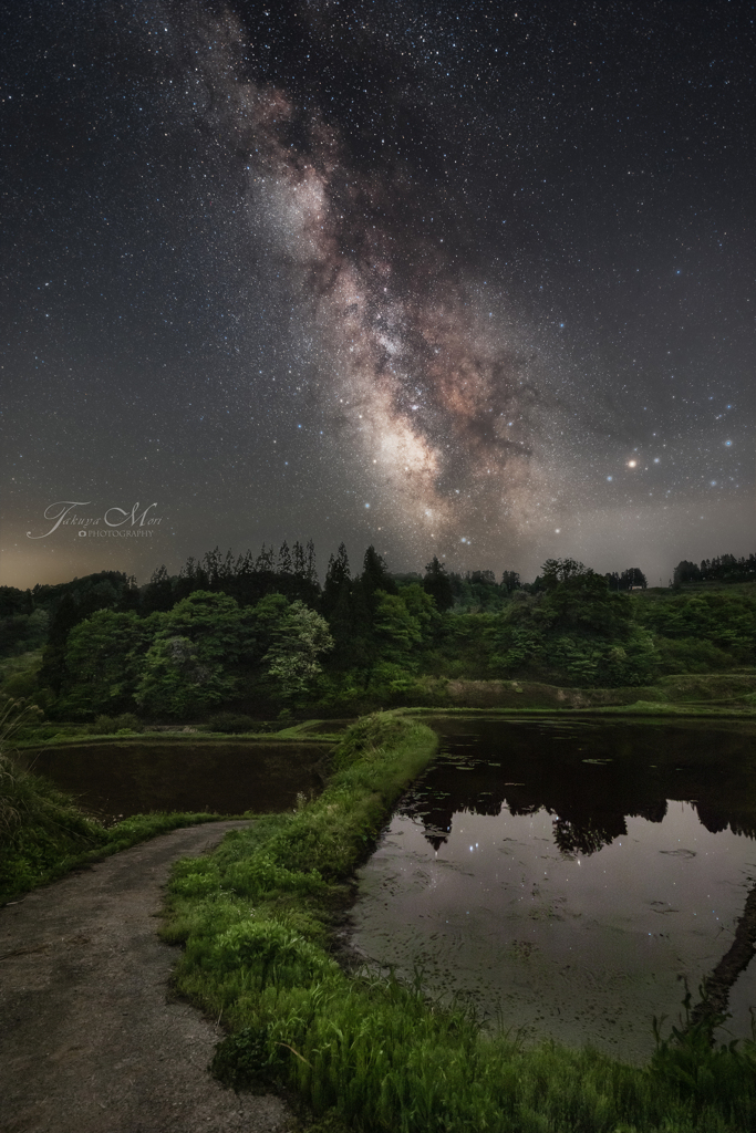 蛙の歌う棚田の夜