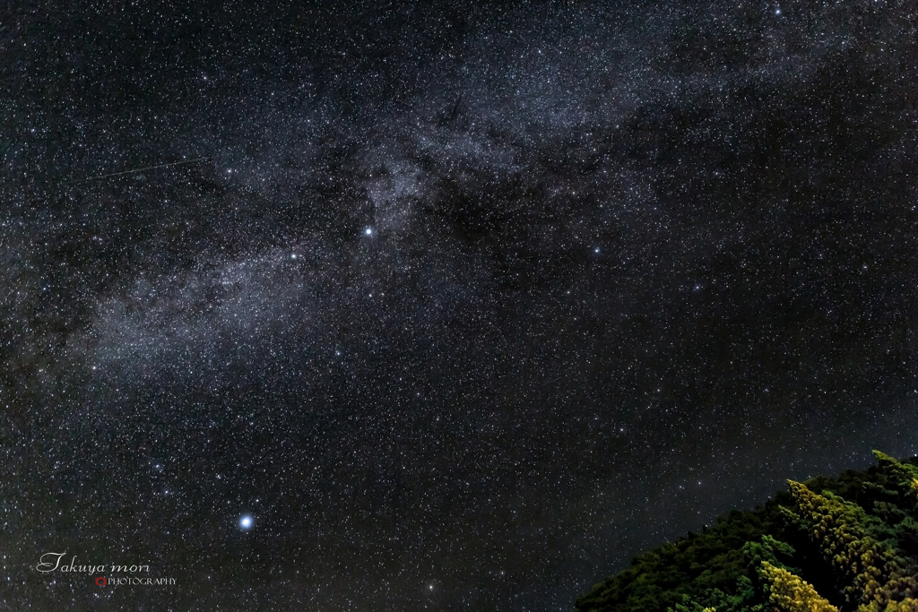 白鳥の舞う宇宙