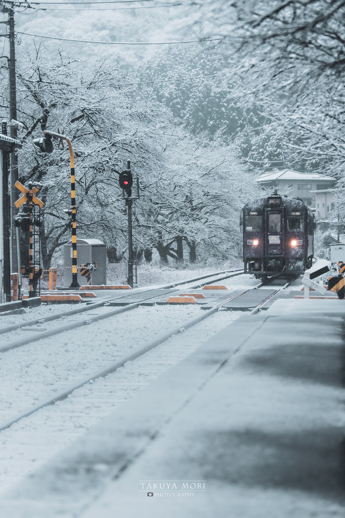 雪景色