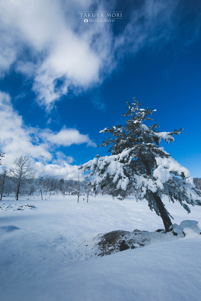 春に見た雪景色