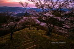 Stairway to Spring