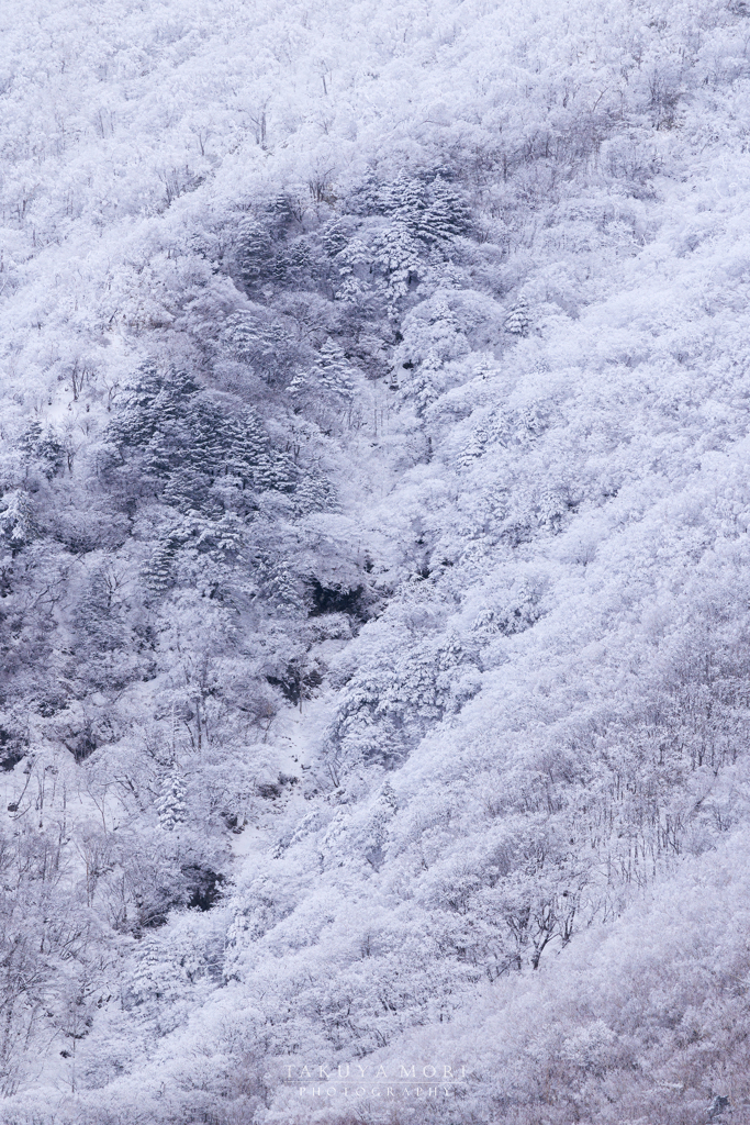 雪化粧