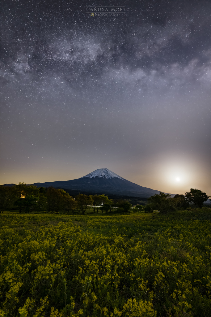 月の昇る頃
