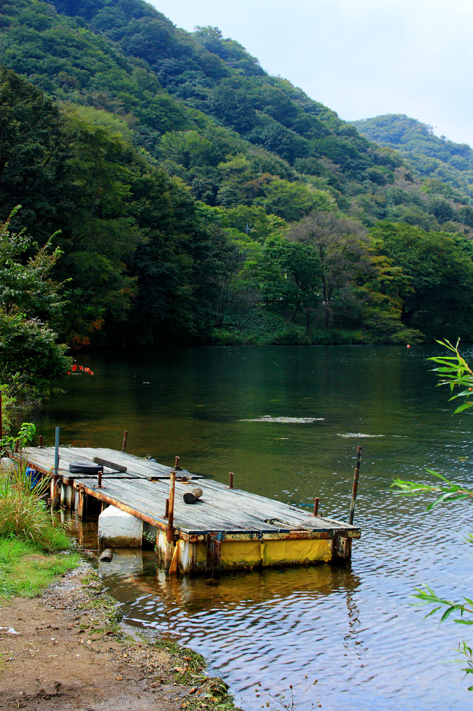 湖のほとり