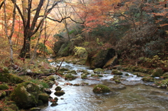 花貫渓谷の紅葉