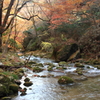 花貫渓谷の紅葉