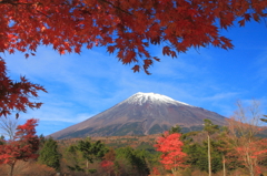 西臼塚からの富士山