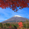西臼塚からの富士山