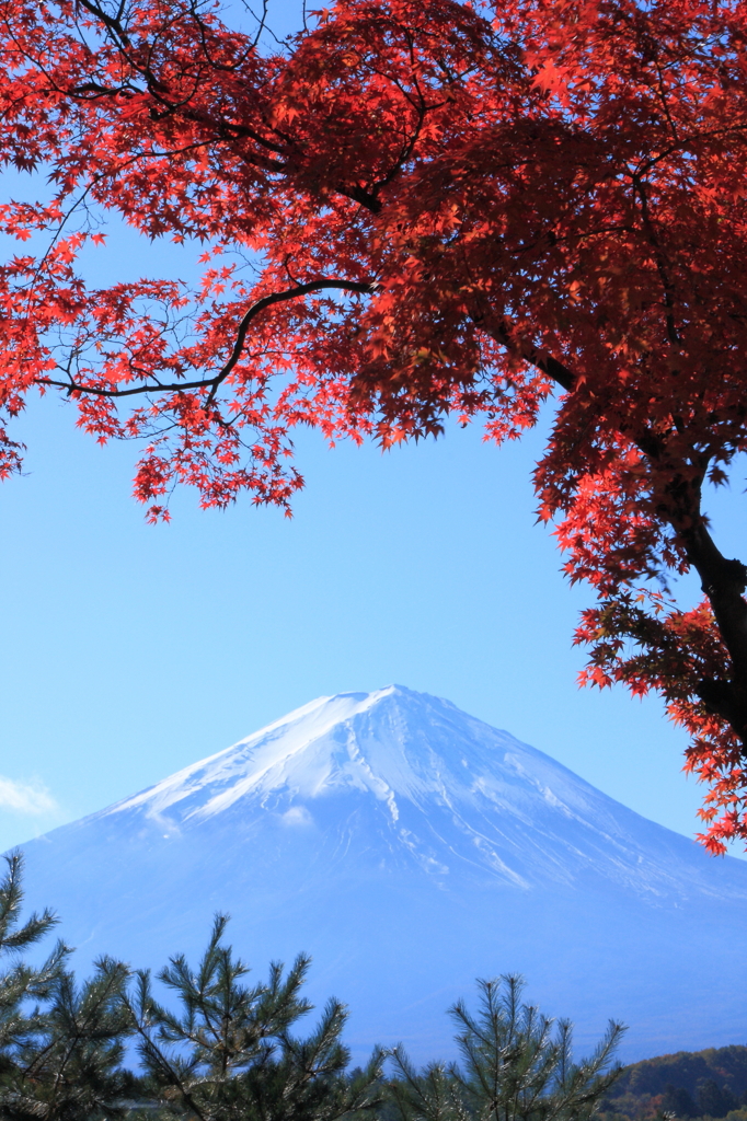 富士山と紅葉